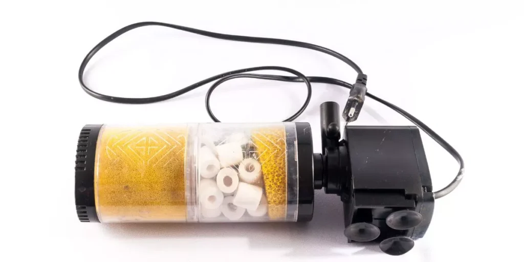 Which Aquarium Filters Are Most Suitable for Freshwater Fish?